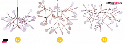 Модель Heracleum 2 фото 3