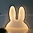 Настольный светильник ins Miffy Rabbit Белый фото 8
