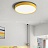 Светодиодные плоские потолочные светильники KIER 30 см  Желтый фото 18